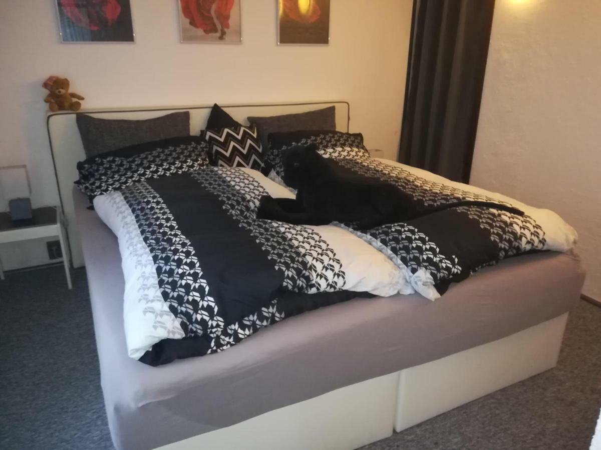 דירות אלטמונסטר Haus Chrissy מראה חיצוני תמונה